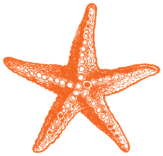 Sea Side Properties, LLC Logo 1